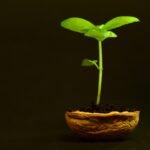 Affordable Housing Development in Collaboration with Local Nonprofits in Maryland