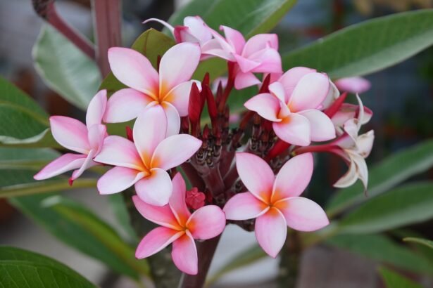 American Islands: The Best Places for Investment and Relaxation