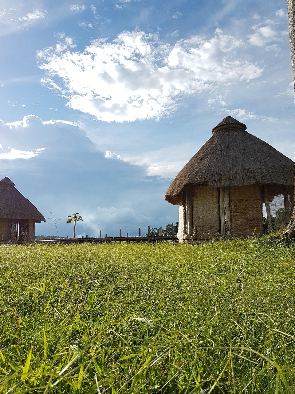 Sustainable Living: The Rise of Eco-Friendly Islands in the U.S.