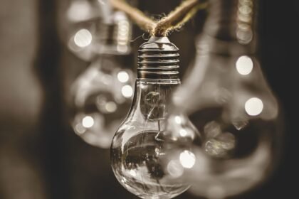 From Beachfront to Backcountry: Eco-Friendly Homes on US Islands