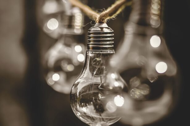 From Beachfront to Backcountry: Eco-Friendly Homes on US Islands