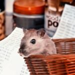 Tips for Negotiating the Best Price on Your New Home