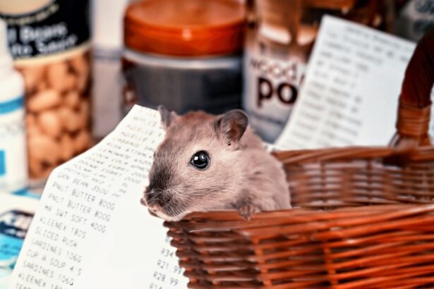 Tips for Negotiating the Best Price on Your New Home