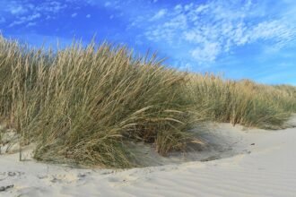 Hidden Gems: Underrated Islands in the U.S. to Explore