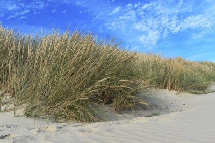 Hidden Gems: Underrated Islands in the U.S. to Explore