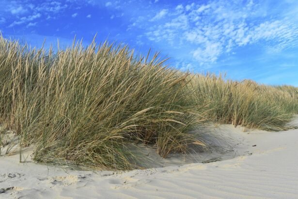 Hidden Gems: Underrated Islands in the U.S. to Explore