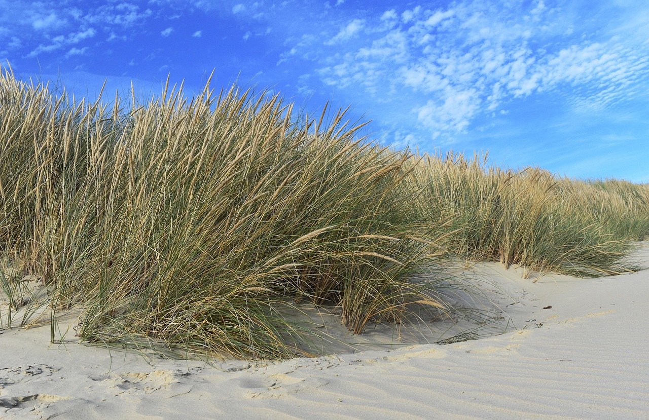 Hidden Gems: Underrated Islands in the U.S. to Explore