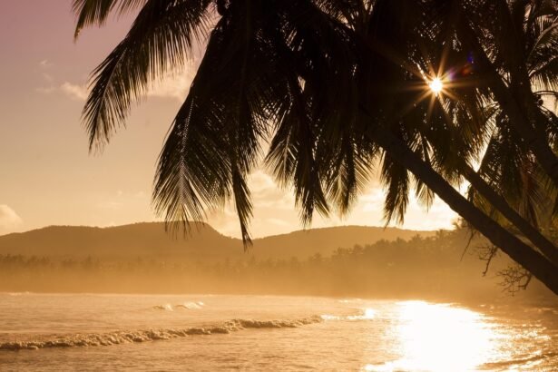 Eco-Friendly Resorts: The Future of Island Tourism