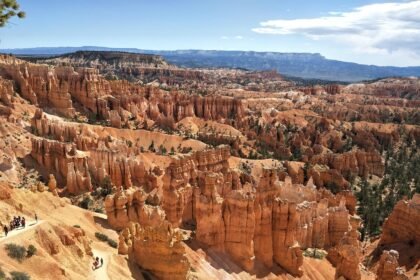 Exploring the Best Island Vacation Homes in the US