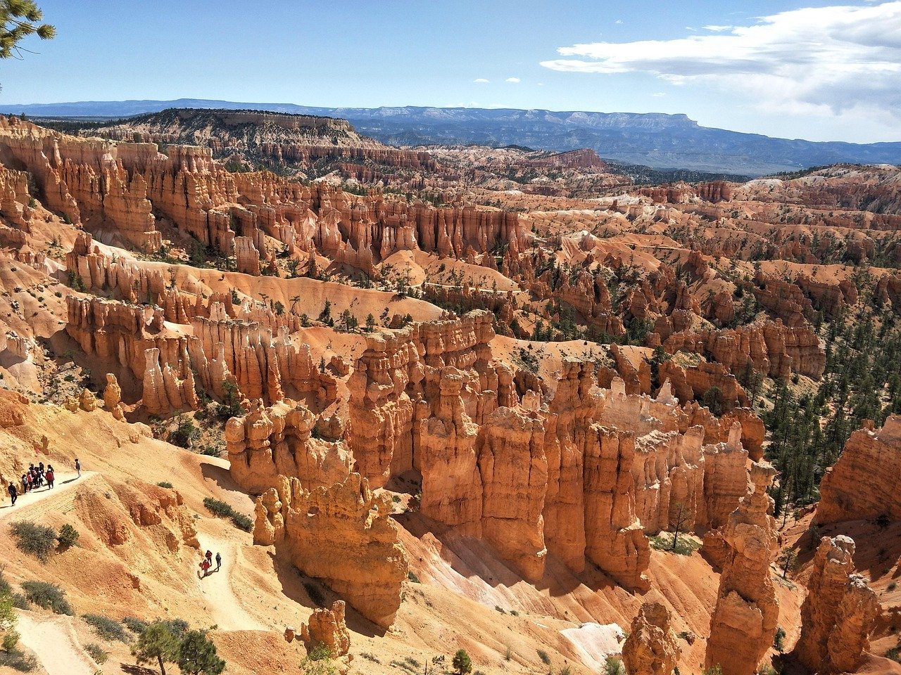 Exploring the Best Island Vacation Homes in the US