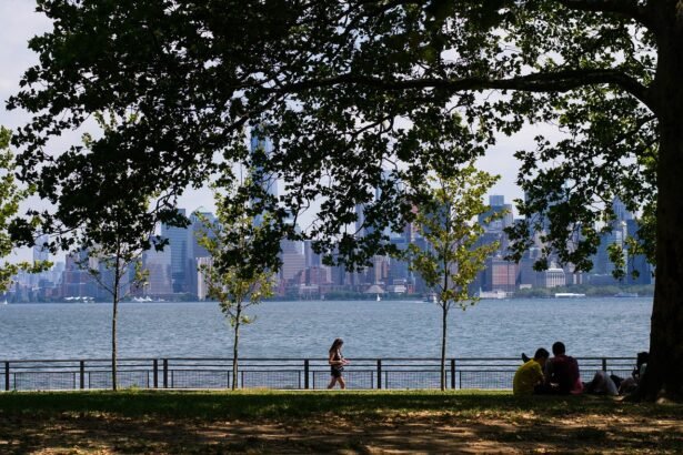Your Guide to Emerging American Island Markets: What to Watch for in 2023