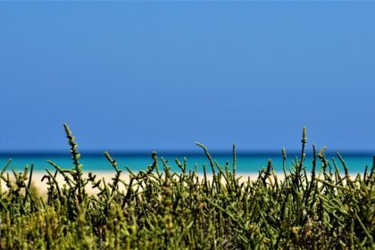 Unique Architecture: Discovering the Design Trends of U.S. Island Homes