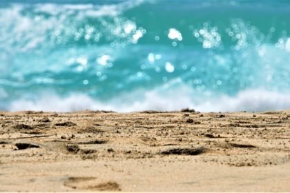 Vibrant Nightlife: Social Scenes in America’s Island Communities