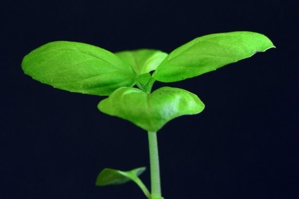 Demystifying the Housing Demand: First Looks at Innovative Residential Designs