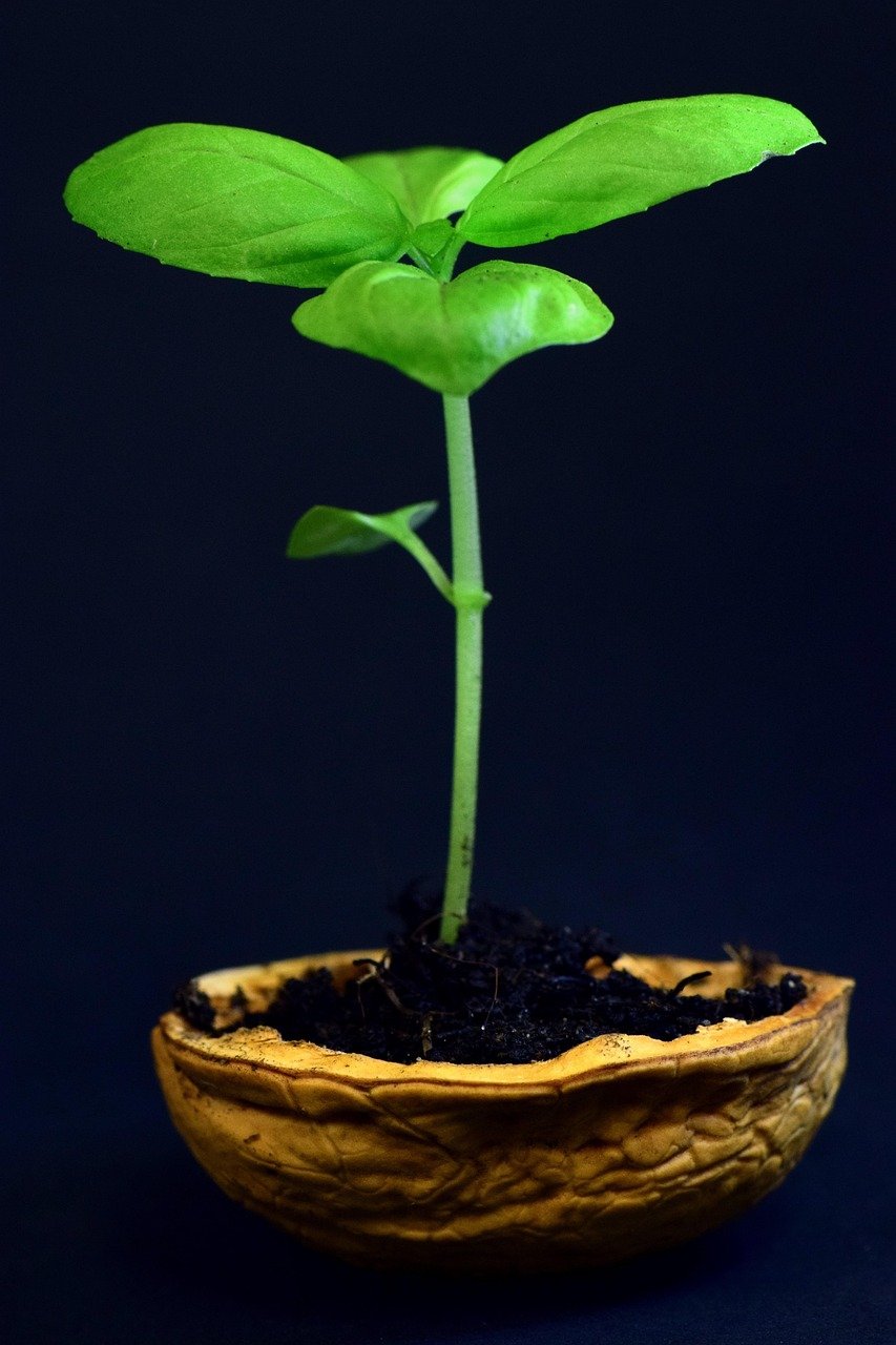 Demystifying the Housing Demand: First Looks at Innovative Residential Designs