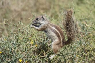 The Fashion of Island Living: Trends Inspired by Tropical Environments