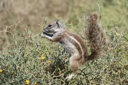 The Fashion of Island Living: Trends Inspired by Tropical Environments