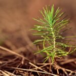 Upscale Townhome Development Unveiled in New Jersey