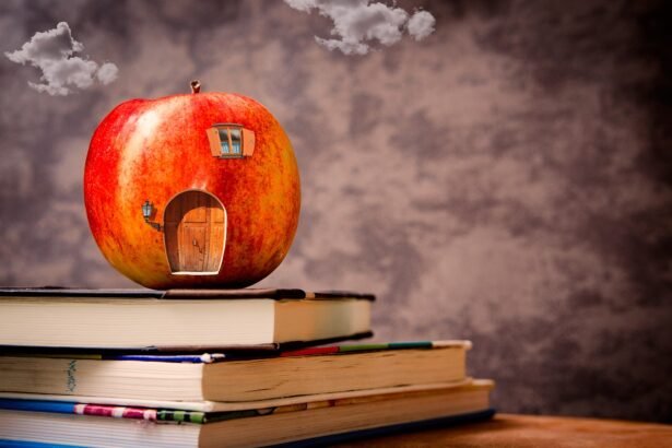 How Rental Market Dynamics Affect Student Housing Choices