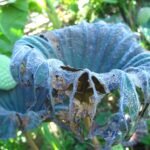 Understanding Different Types of Mortgages: Which One is Right for You?