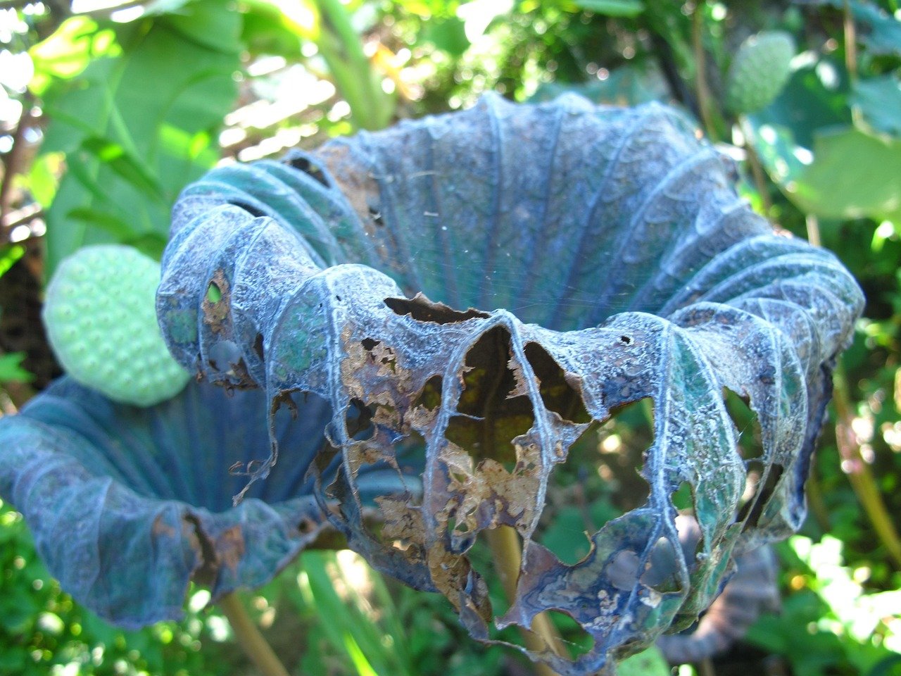 Understanding Different Types of Mortgages: Which One is Right for You?