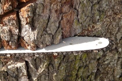 Examining the Relationship Between Transportation Infrastructure and Supply Chain Effectiveness