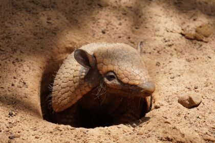 From Surf to Summit: The Best Outdoor Activities in the U.S. Islands