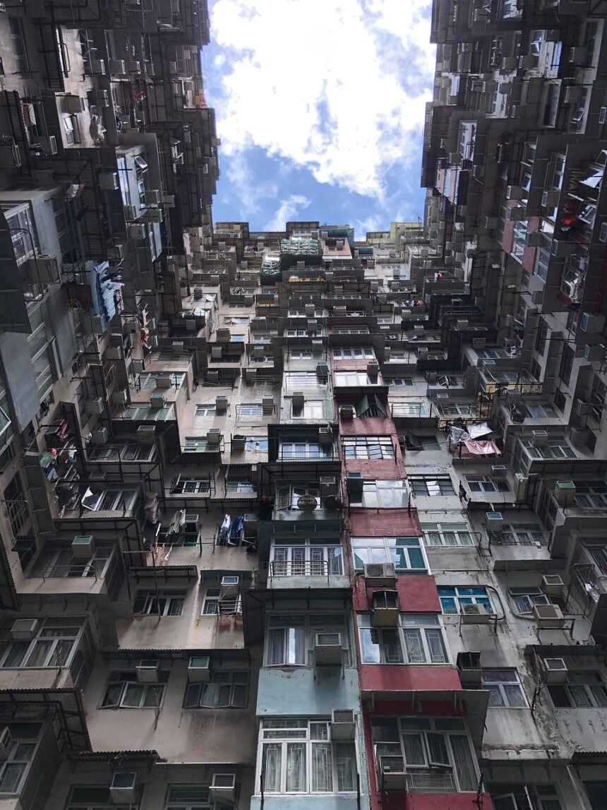 The Shift Toward Pet-Friendly Rentals in Urban Areas