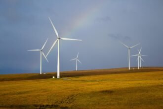Eco-Conscious Living: The Growth of Green Communities on Coastal Islands