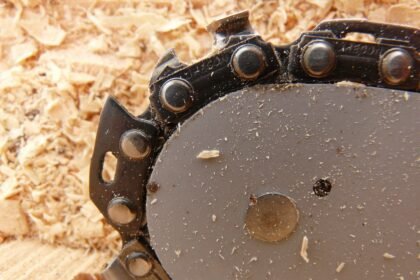 The Role of Technology in Streamlining Supply Chain Operations and Facilities