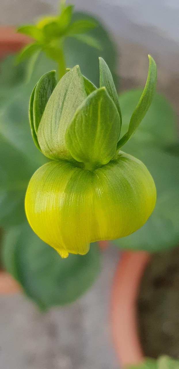 New Housing Developments Shaping California's Suburbs