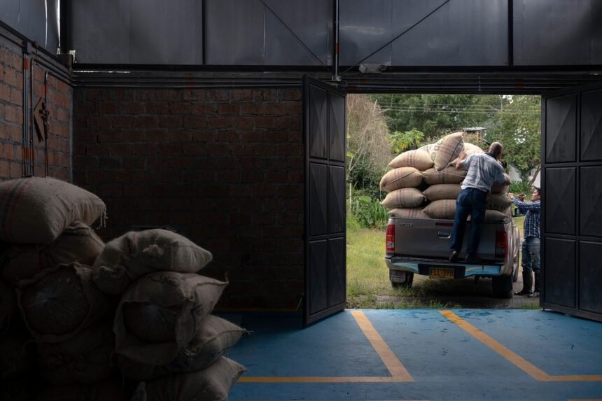 Demand Surge: How Supply Chain Challenges are Boosting Warehouse Developments