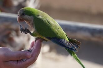 Best Waterfront Properties to Consider in 2023