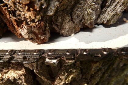 Essential Hubs: The Growth of Last-Mile Delivery Centers