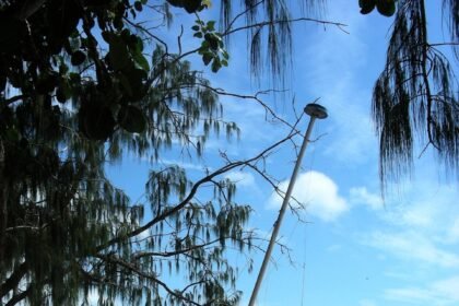 Life at a Slower Pace: Island Living Experiences You Can’t Miss