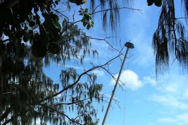 Life at a Slower Pace: Island Living Experiences You Can’t Miss