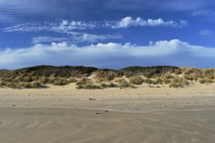 Trends in Island Cuisine: A Taste of Coastal Living