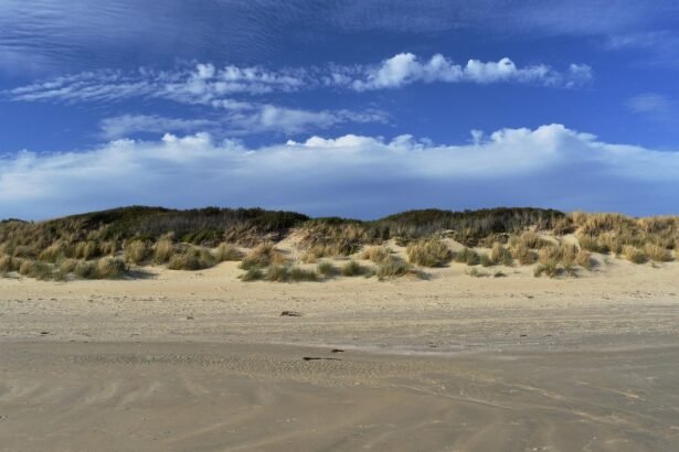 Trends in Island Cuisine: A Taste of Coastal Living