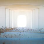 American Home Building Trends: Embracing Sustainable Materials