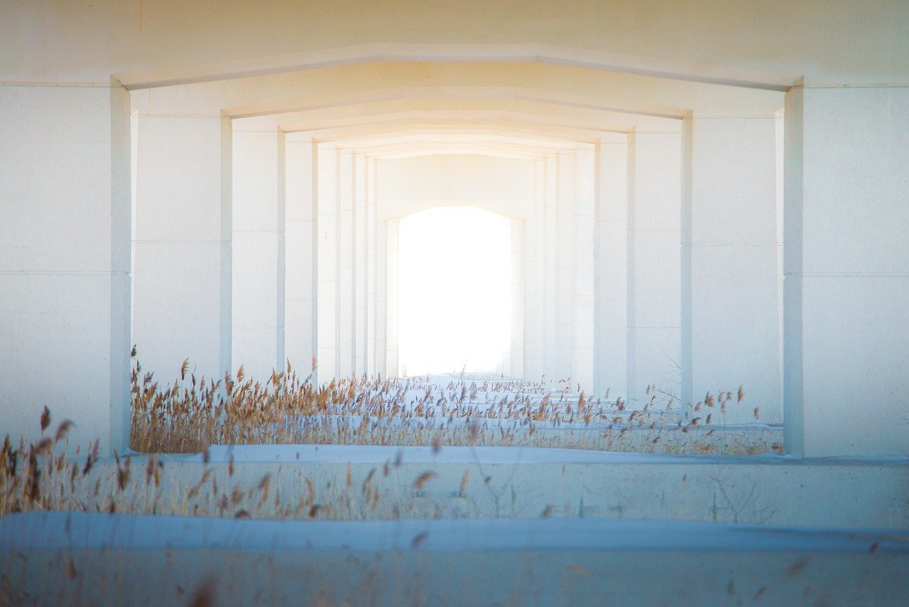 American Home Building Trends: Embracing Sustainable Materials