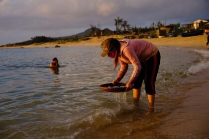 Embracing Community: Lifestyle News from Island Living Areas