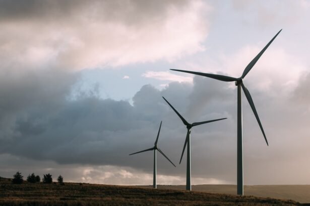 Sustainable Eco Homes: A New Trend in US Island Communities