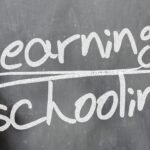 Examining Sustainable Living Options in Student Housing