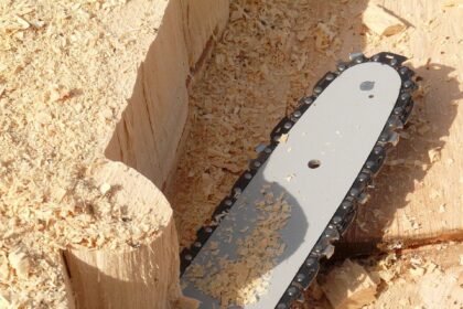 Building Resilience: How Companies Are Reinventing Supply Chains