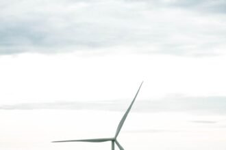 Island Innovations: Sustainable Architecture in Tropical Climates