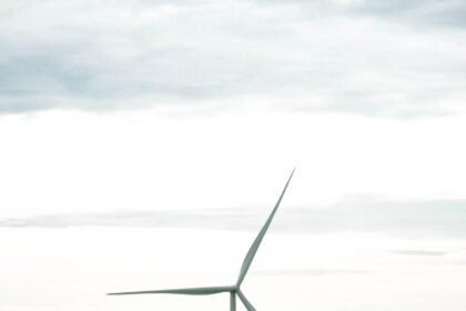 Island Innovations: Sustainable Architecture in Tropical Climates