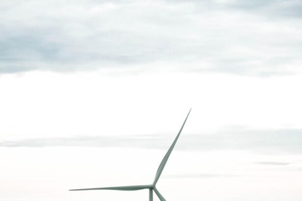 Island Innovations: Sustainable Architecture in Tropical Climates