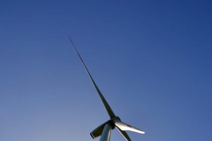 Tropical Eco Communities: Pioneering Sustainable Living