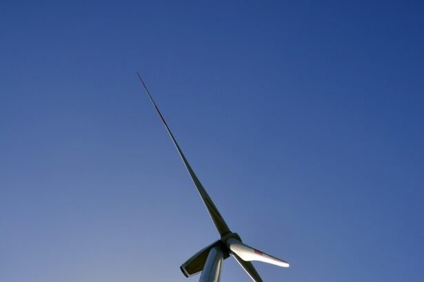 Tropical Eco Communities: Pioneering Sustainable Living
