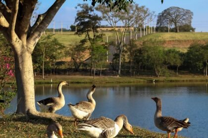 Green Community Living: Innovative Projects on America’s Islands